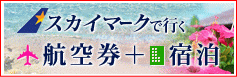 スカイマークで行く那覇