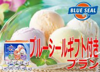 【ブルーシールギフトパック(12個入)】付きプラン♪